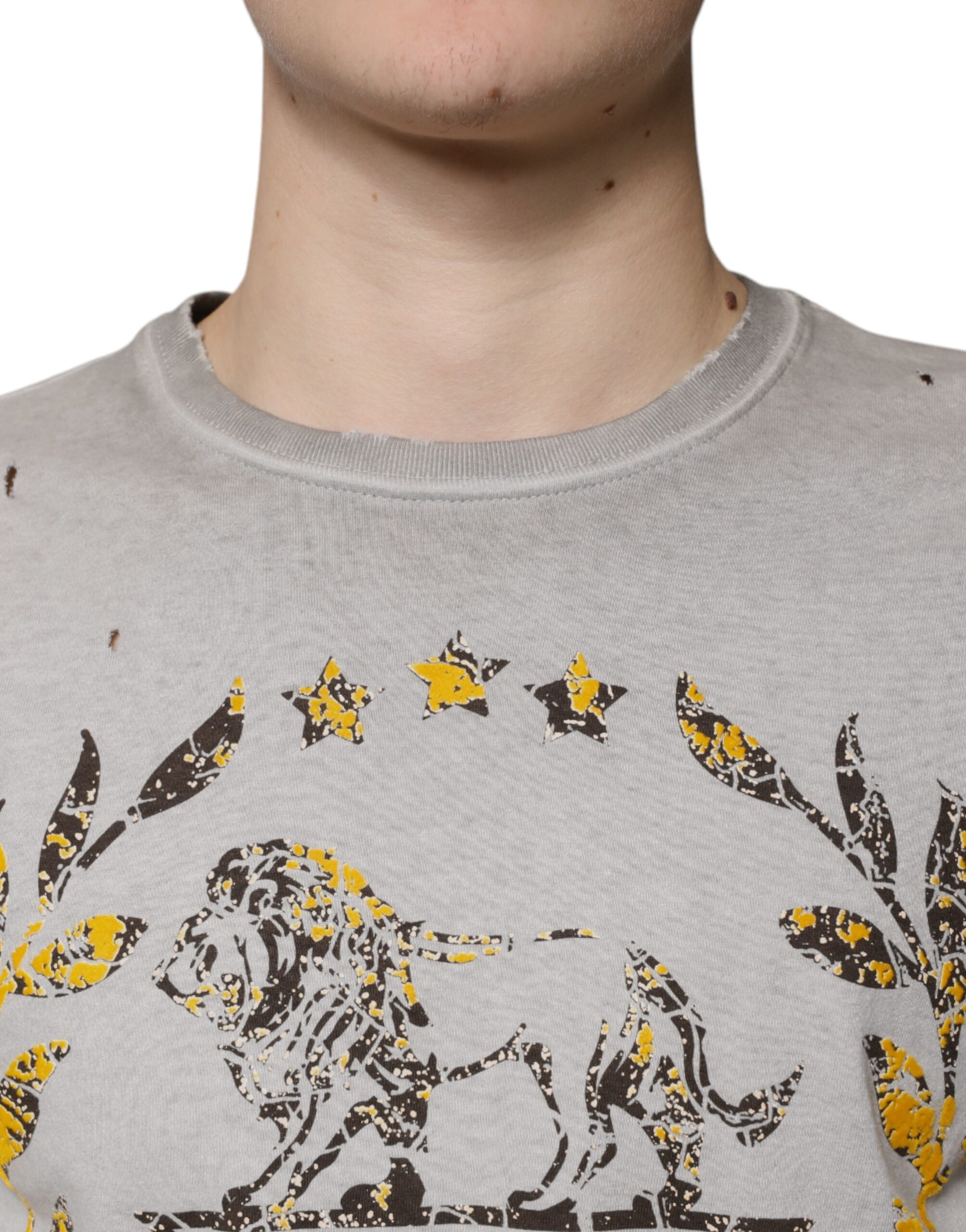 Dolce & Gabbana Gray Printed Cotton Crewneck Pullover Sweater - Image 5