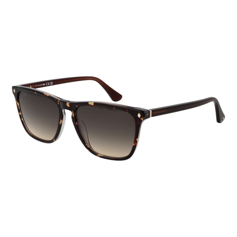 Web Brown Acetate Sunglasses