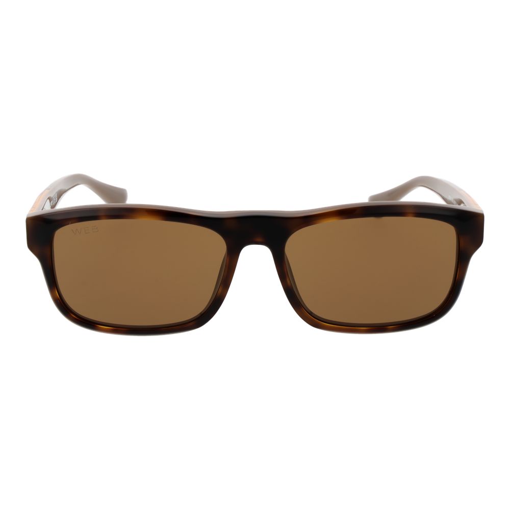 Web Brown Acetate Sunglasses - Image 2