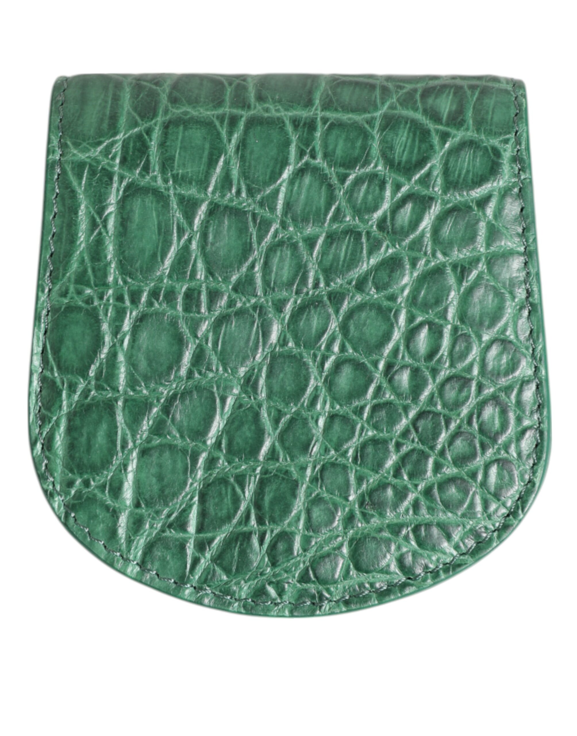 Dolce & Gabbana Green Exotic Skin Coin Condom Case Holder Pocket Wallet - Image 5