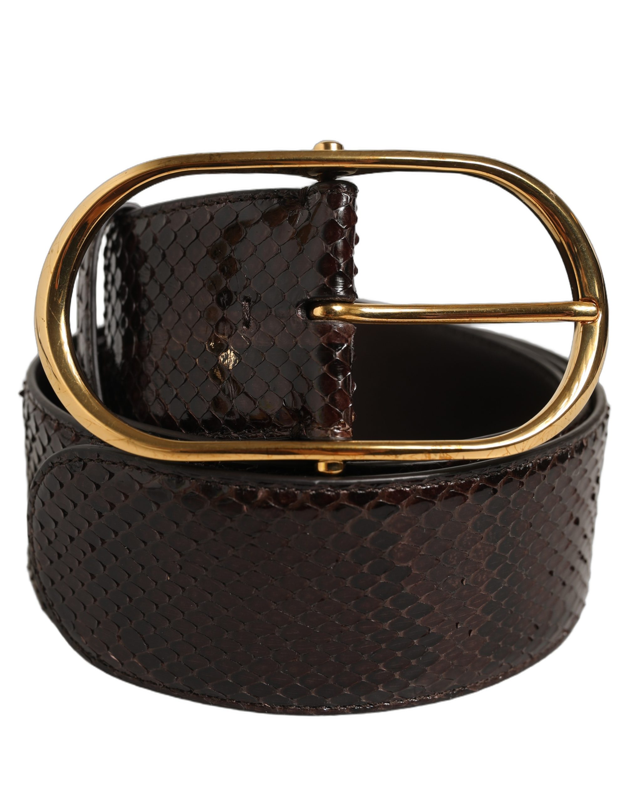 Dolce & Gabbana Brown Python Leather Gold Metal Buckle Belt - Image 3