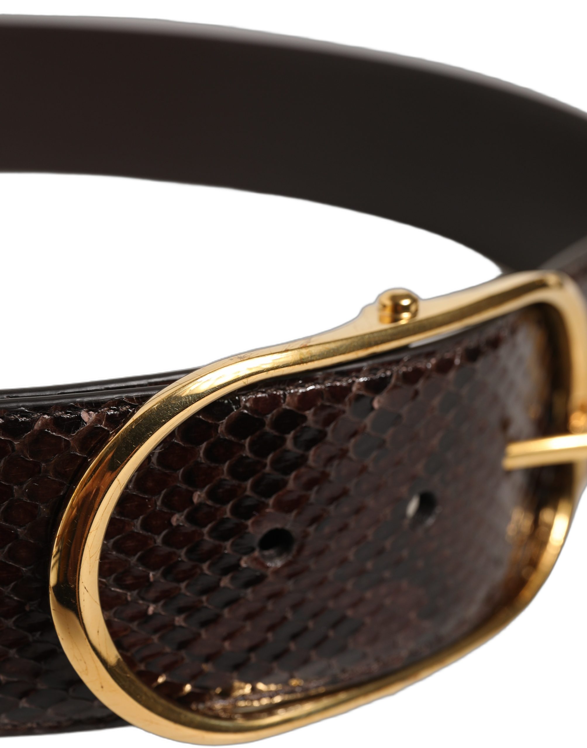 Dolce & Gabbana Brown Python Leather Gold Metal Buckle Belt - Image 5