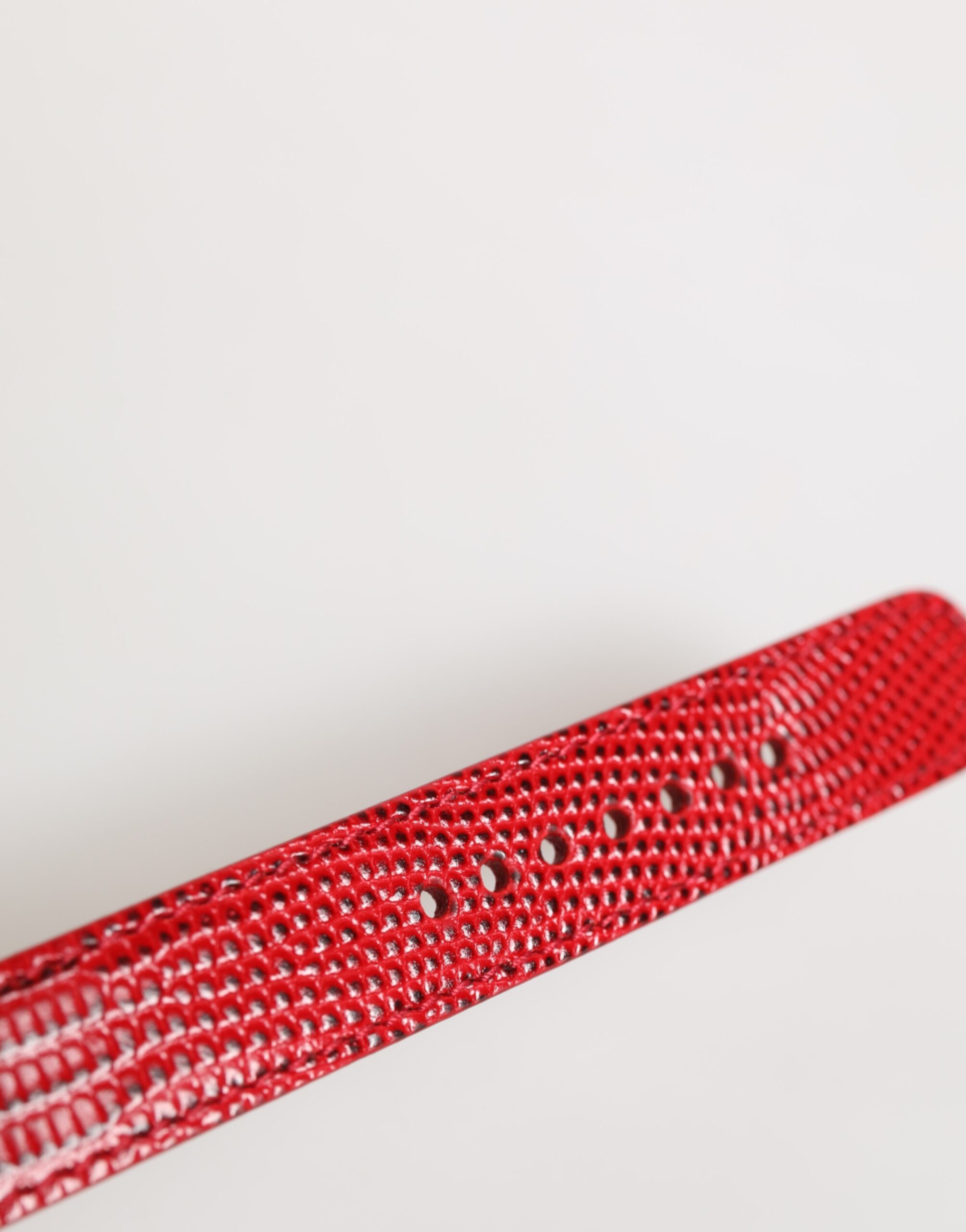 Dolce & Gabbana Red Exotic Leather Gold Tone Metal Buckle Women Armband - Image 7